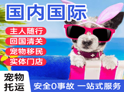 温州龙湾机场快运国际宠物托运 【国